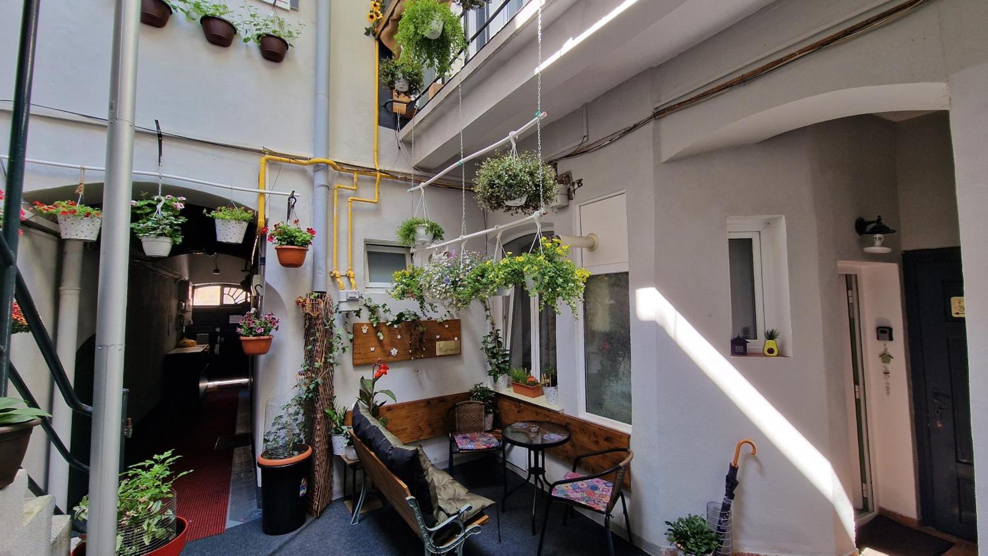 Studio Unikat Braşov Dış mekan fotoğraf